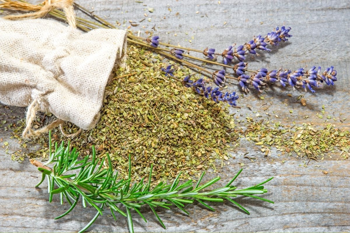 herbes provence grossesse